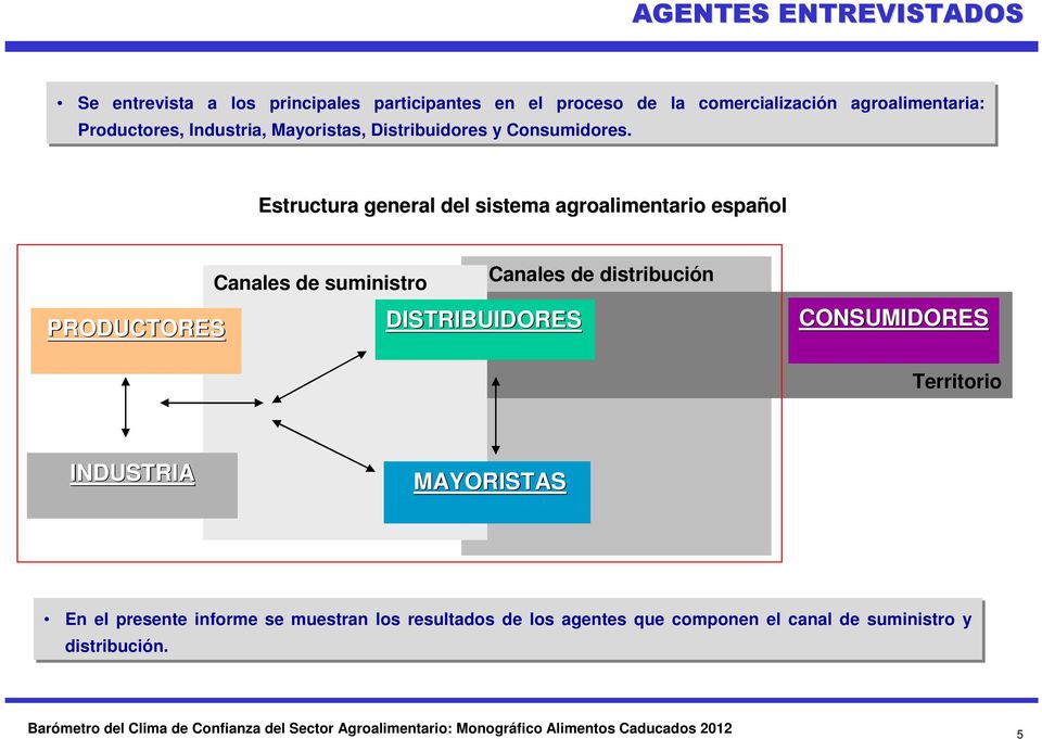 Estructura general del sistema agroalimentario español PRODUCTORES Canales de suministro DISTRIBUIDORES Canales de distribución CONSUMIDORES