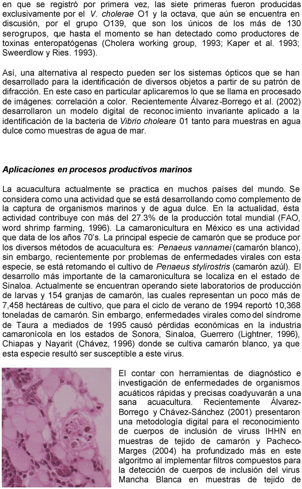 enteropatógenas (Cholera working group, 1993; Kaper et al. 1993; Sweerdlow y Ries. 1993).