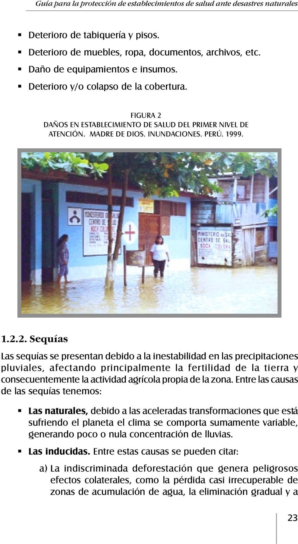 DAÑOS EN ESTABLECIMIENTO DE SALUD DEL PRIMER NIVEL DE ATENCIÓN. MADRE DE DIOS. INUNDACIONES. PERÚ. 1999. 1.2.