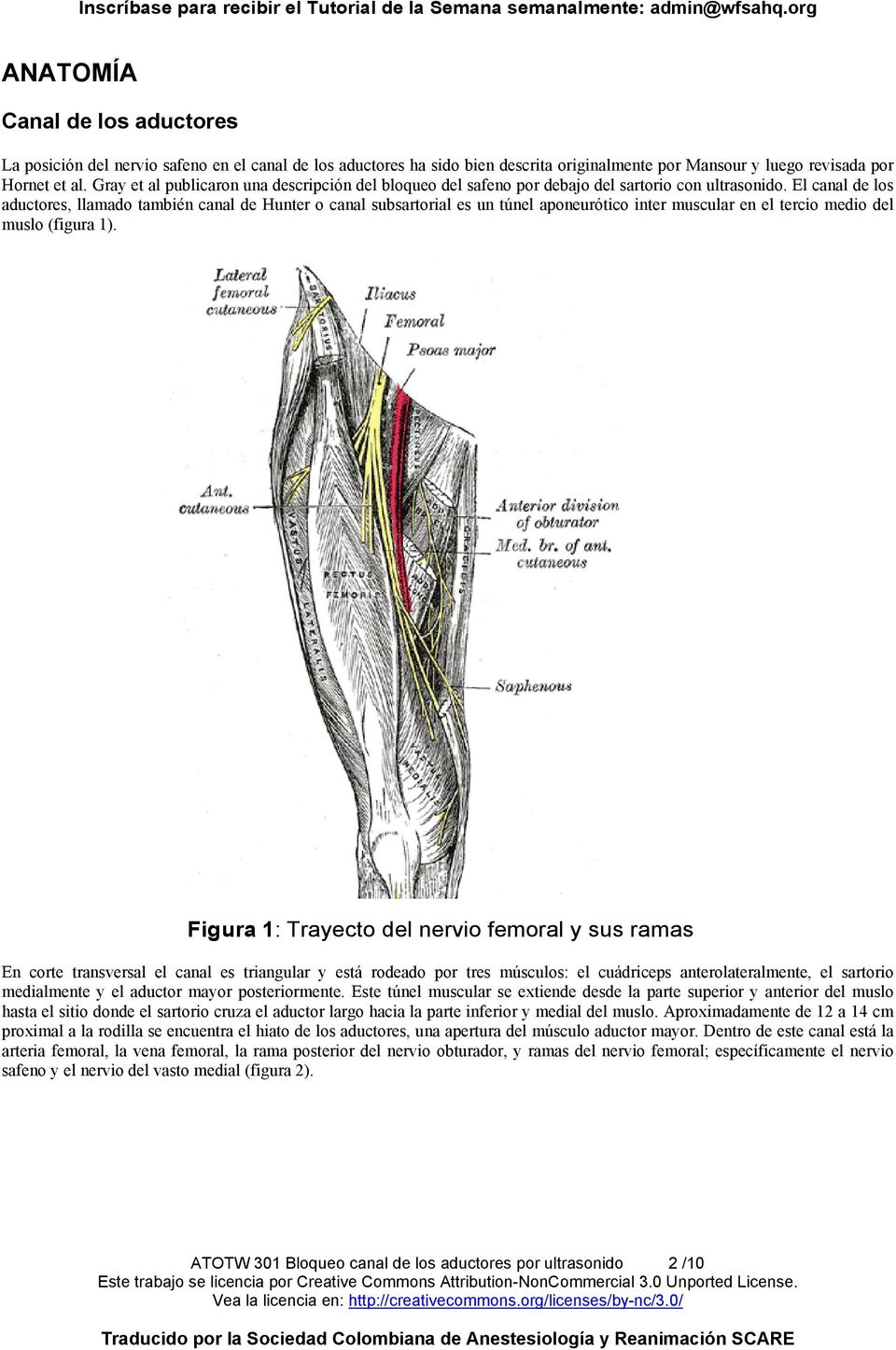 El canal de los aductores, llamado también canal de Hunter o canal subsartorial es un túnel aponeurótico inter muscular en el tercio medio del muslo (figura 1).