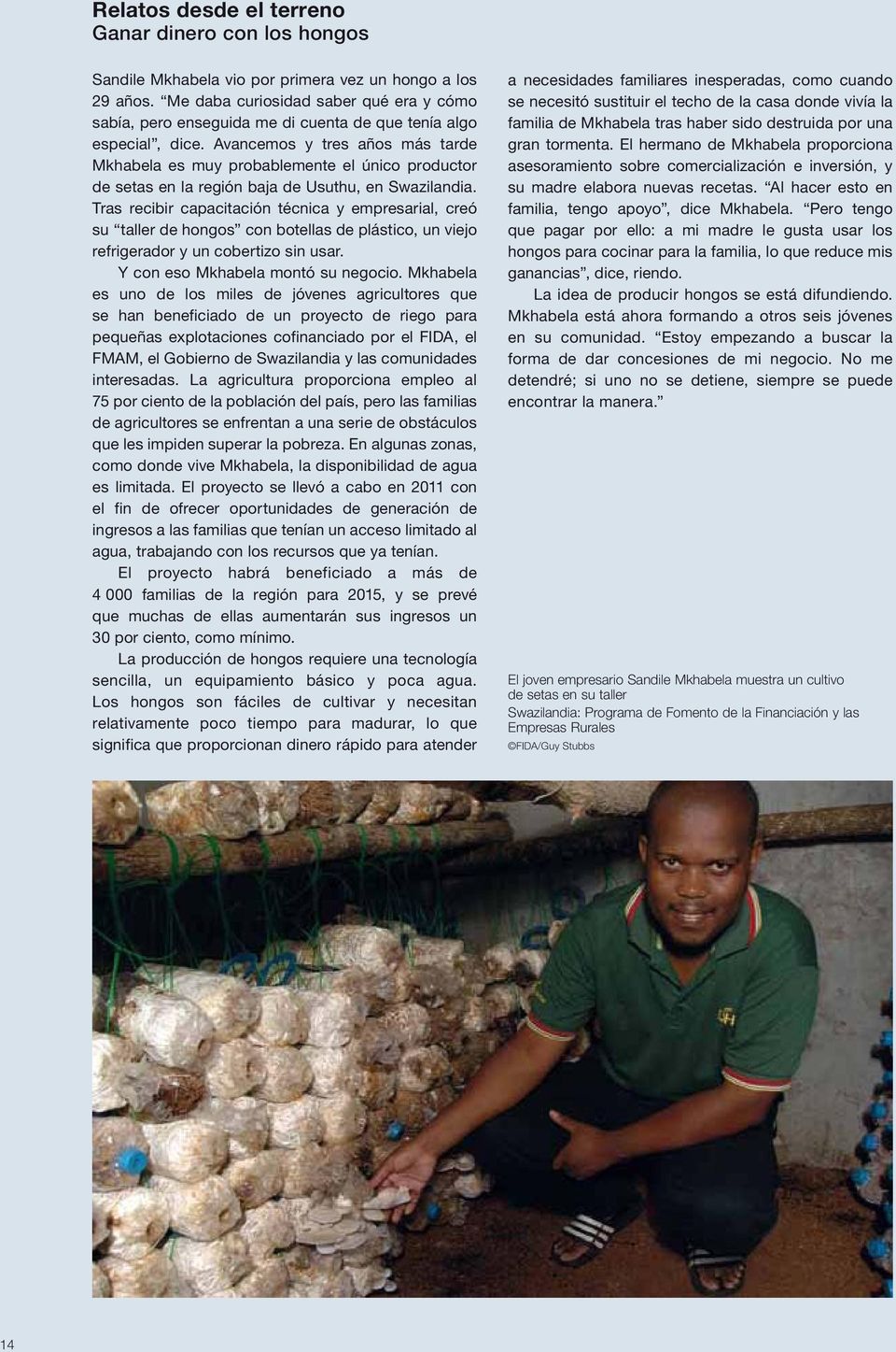Avancemos y tres años más tarde Mkhabela es muy probablemente el único productor de setas en la región baja de Usuthu, en Swazilandia.
