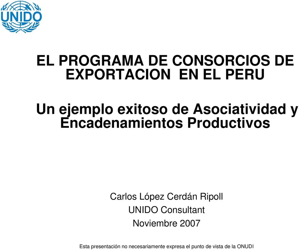 López Cerdán Ripoll UNIDO Consultant Noviembre 2007 Esta