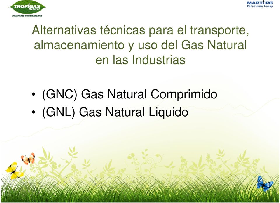 Gas Natural en las Industrias (GNC)