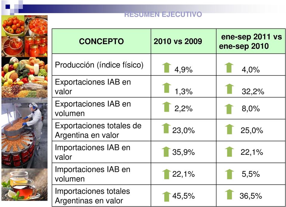 en valor Importaciones IAB en volumen Importaciones totales Argentinas en valor 2010 vs 2009