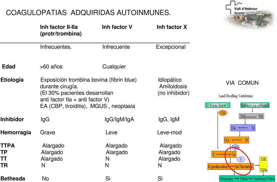 Amiloidosis (El 30% pacientes desarrollan (no inhibidor) anti factor IIa + anti factor V) EA (CBP, tiroiditis), MGUS, neoplasia VIA COMUN