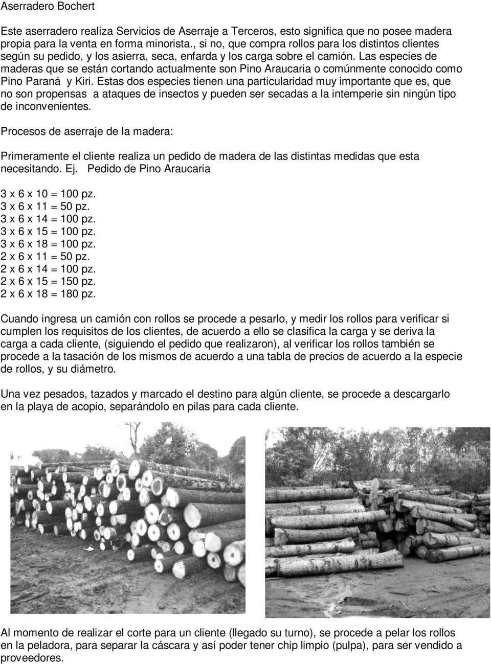Las especies de maderas que se están cortando actualmente son Pino Araucaria o comúnmente conocido como Pino Paraná y Kiri.