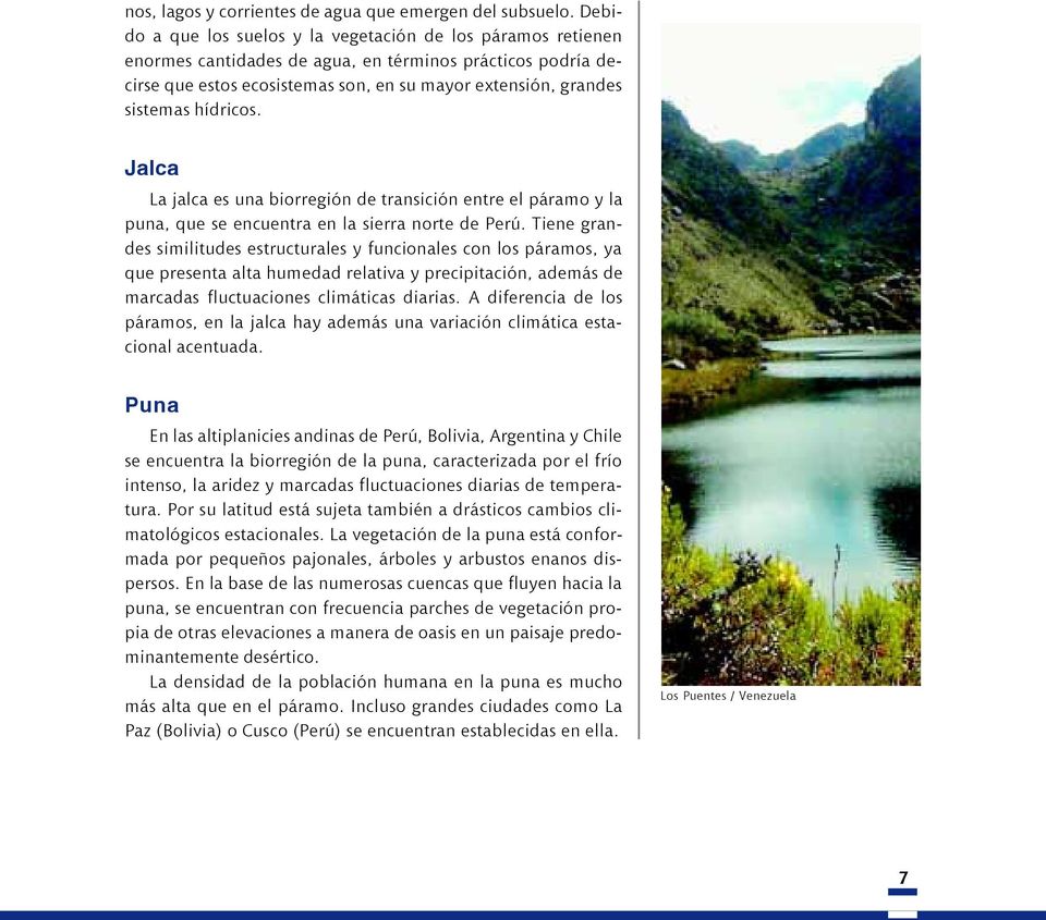 hídricos. Jalca La jalca es una biorregión de transición entre el páramo y la puna, que se encuentra en la sierra norte de Perú.