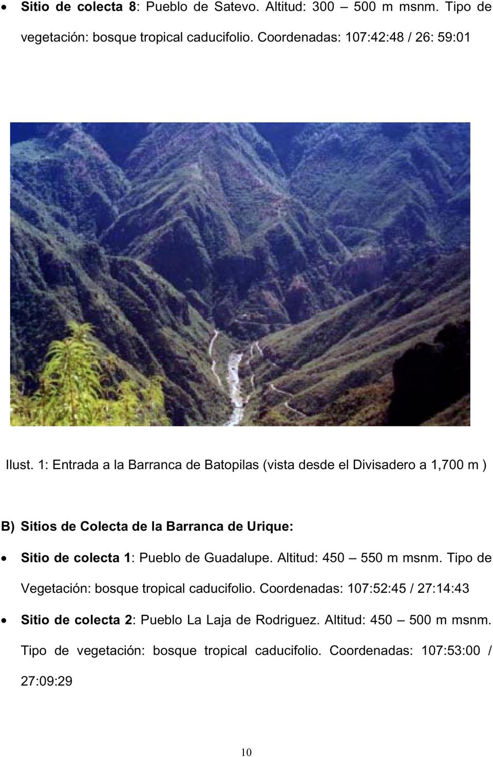 1: Entrada a la Barranca de Batopilas (vista desde el Divisadero a 1,700 m ) B) Sitios de Colecta de la Barranca de Urique:!