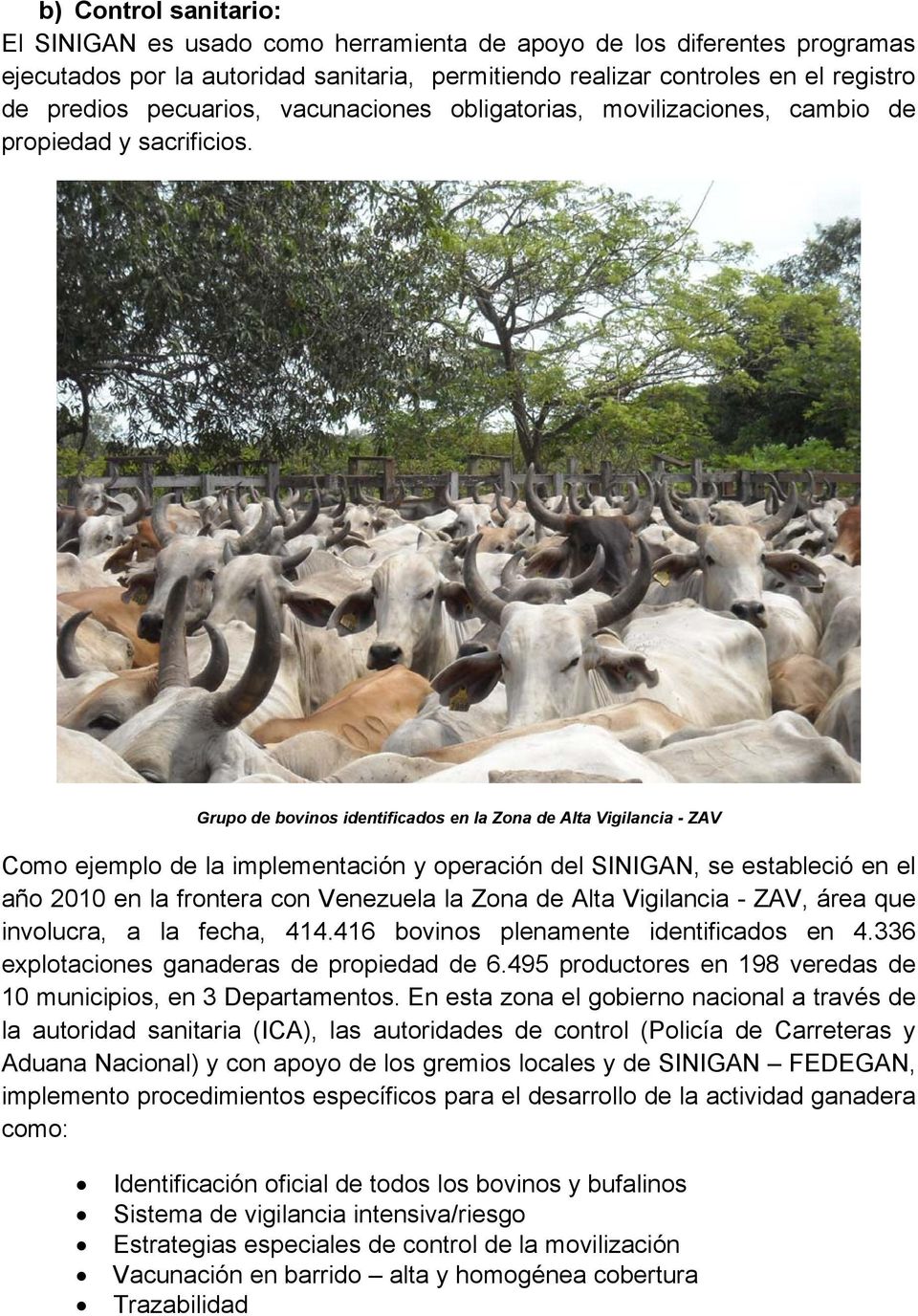 Grupo de bovinos identificados en la Zona de Alta Vigilancia - ZAV Como ejemplo de la implementación y operación del SINIGAN, se estableció en el año 2010 en la frontera con Venezuela la Zona de Alta