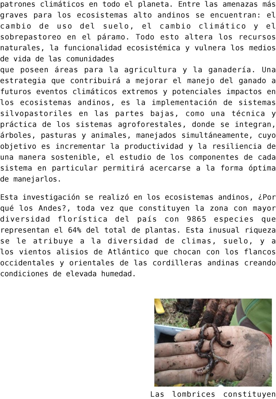 Una estrategia que contribuirá a mejorar el manejo del ganado a futuros eventos climáticos extremos y potenciales impactos en los ecosistemas andinos, es la implementación de sistemas silvopastoriles