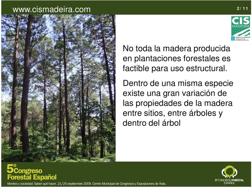 forestales es factible para uso estructural.