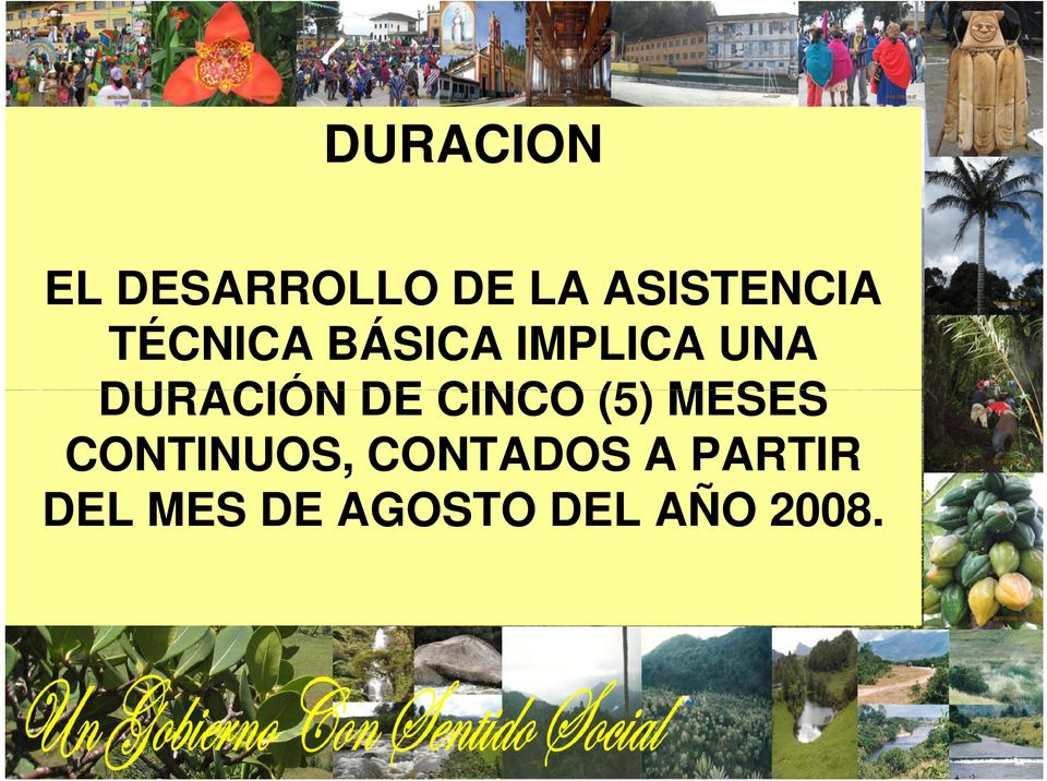 DURACIÓN DE CINCO (5) MESES CONTINUOS,