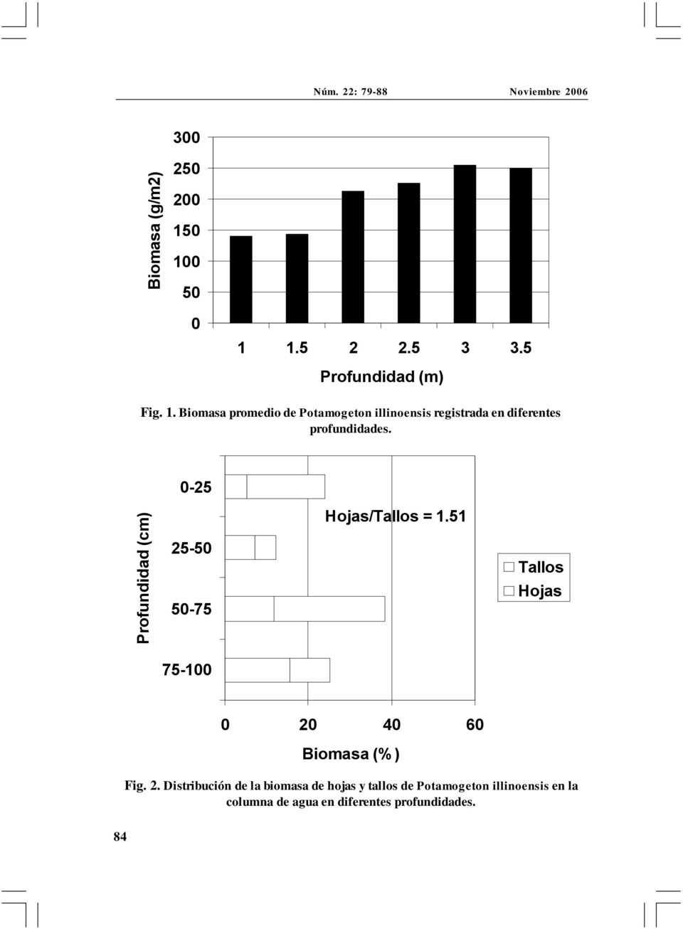 Biomasa promedio de Potamogeton illinoensis registrada en diferentes profundidades.