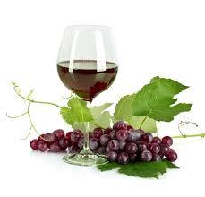 Preferencia de marca Conocés la diferencia entre vinos de corte (Blend) y vinos varietales?