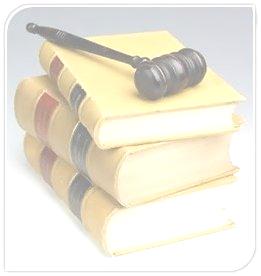 La categoría Derecho muestra una distribución uniforme con una leve prevalencia de los libros de Derecho Civil y Penal que en N conjunto acumulan el 23% de la categoría CIVIL (TOTAL) 172 1% Civil S/E
