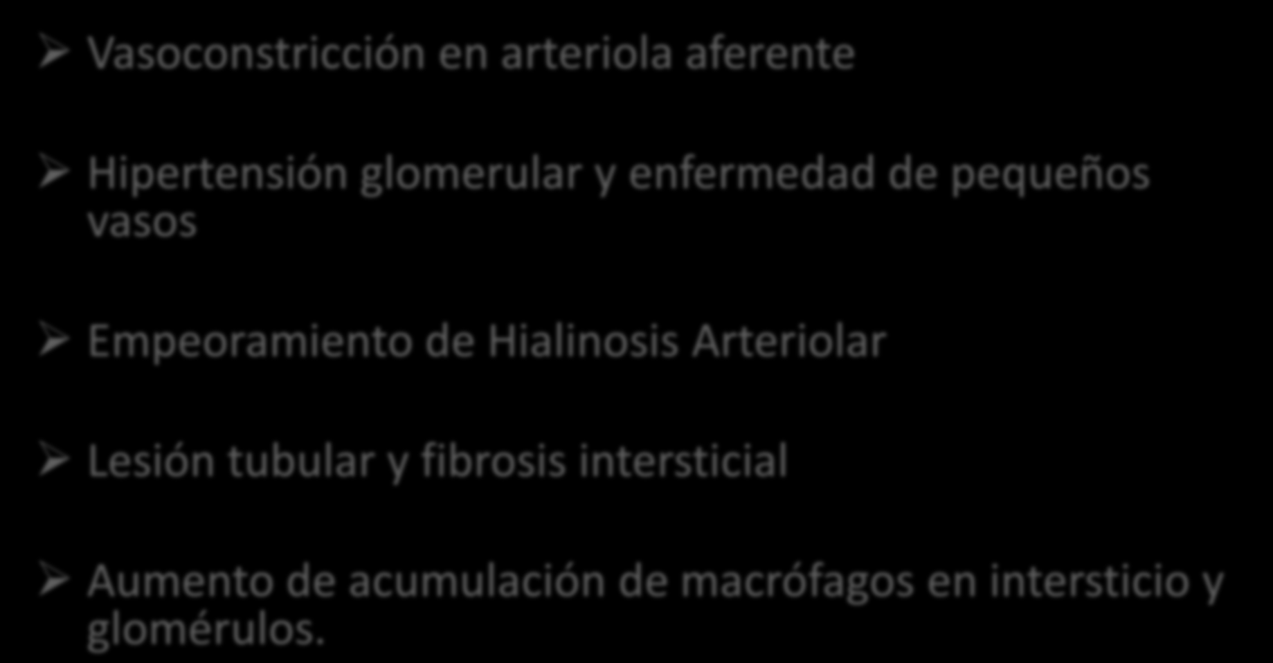 Efectos de Hiperuricemia a nivel renal: Vasoconstricción en arteriola aferente Hipertensión glomerular y enfermedad de pequeños vasos