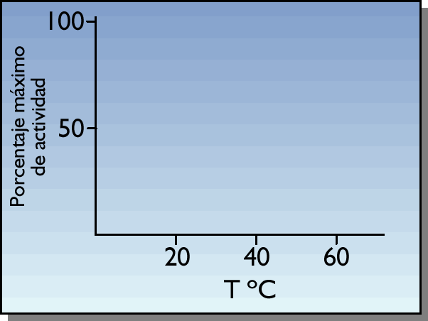 VARIACIÓN de la ACTIVIDAD ENZIMÁTICA con la TEMPERATURA Cada enzima actúa a una temperatura óptima.