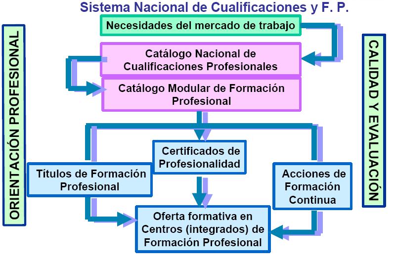 Profesionales (CNCP), y su Catálogo Modular de Formación Profesional asociado; el procedimiento de reconocimiento, evaluación y acreditación de las competencias profesionales; las iniciativas de