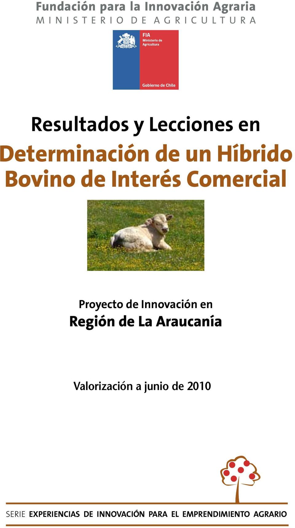 Interés Comercial Proyecto de Innovación en Región de La Araucanía