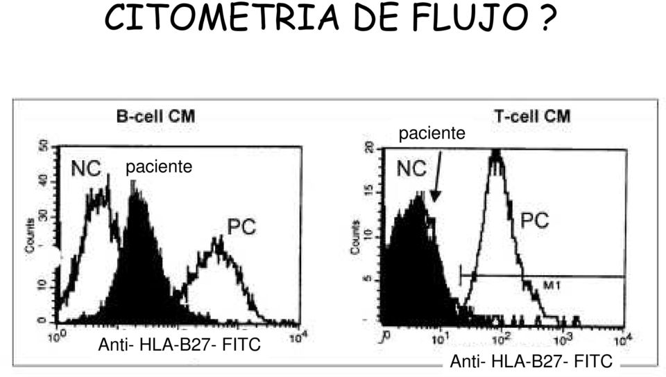 Anti- HLA-B27- FITC