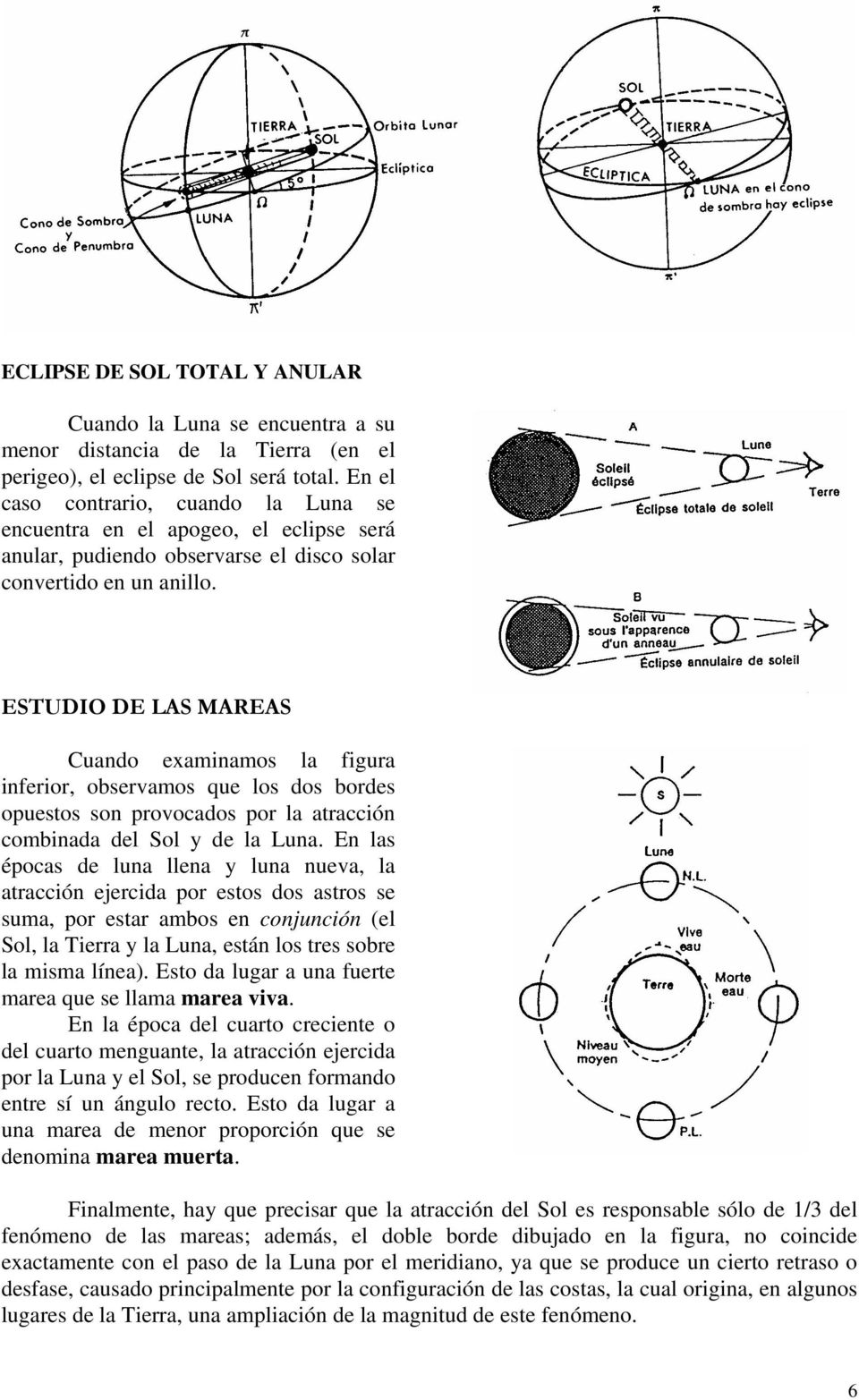 ESTUDIO DE LAS MAREAS Cuando examinamos la figura inferior, observamos que los dos bordes opuestos son provocados por la atracción combinada del Sol y de la Luna.