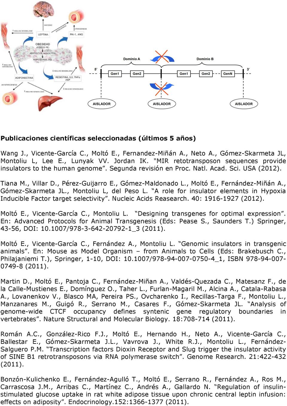 , Fernández-Miñán A., Gómez-Skarmeta JL., Montoliu L, del Peso L. A role for insulator elements in Hypoxia Inducible Factor target selectivity. Nucleic Acids Reasearch. 40: 1916-1927 (2012). Moltó E.