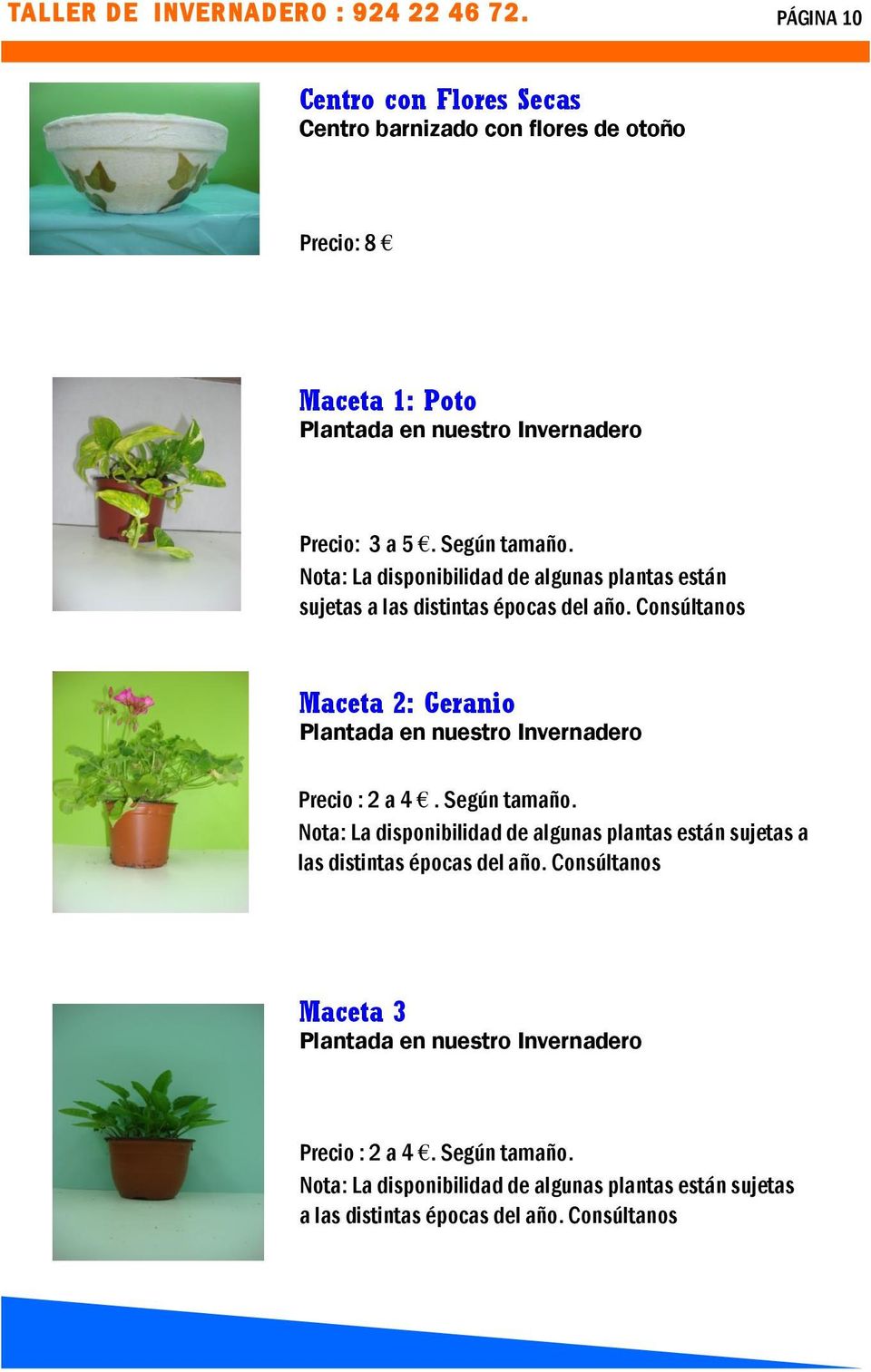 Nota: La disponibilidad de algunas plantas están sujetas a las distintas épocas del año.