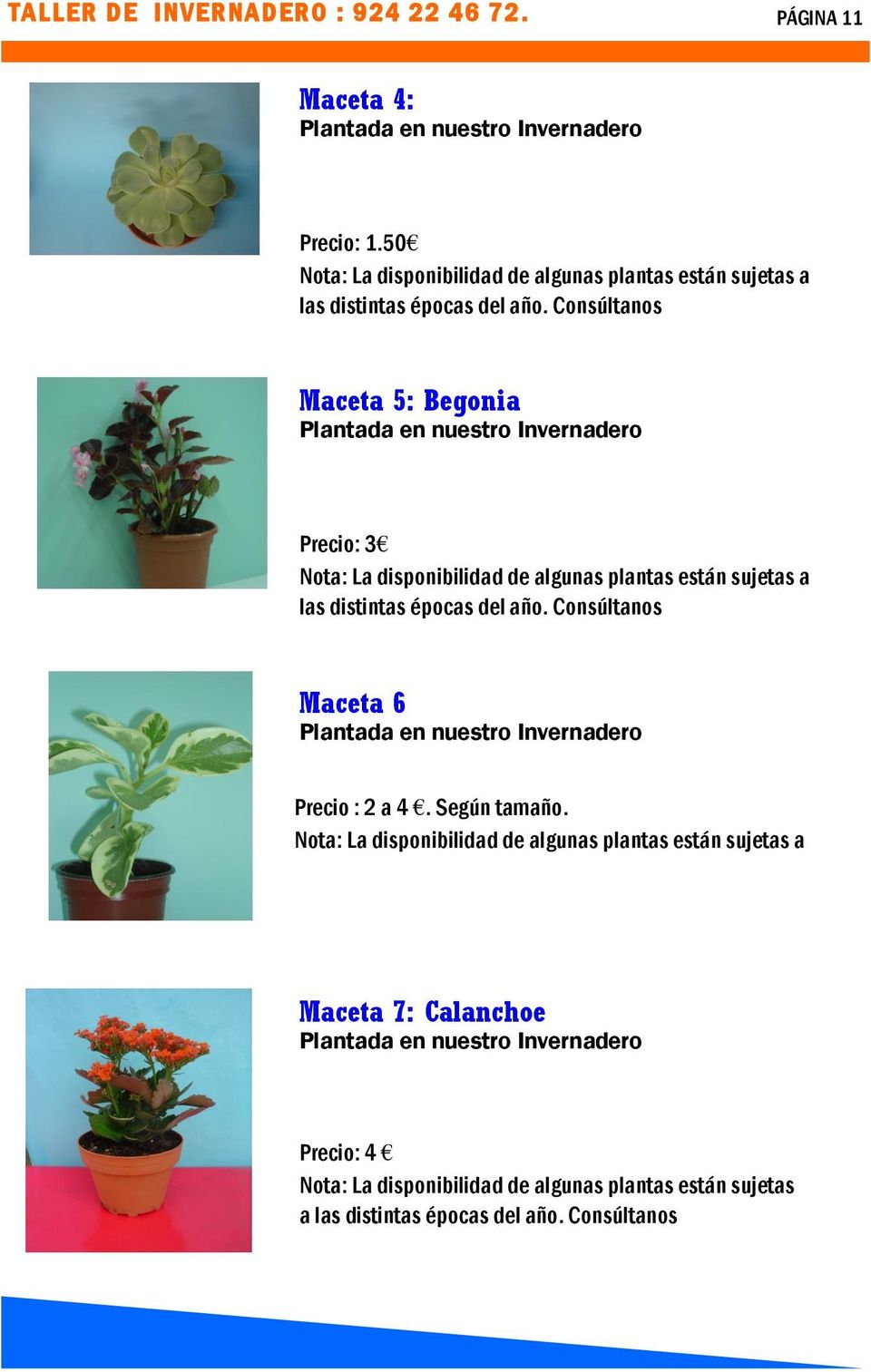 Consúltanos Maceta 5: Begonia Plantada en nuestro Invernadero Precio: 3 Nota: La disponibilidad de algunas plantas están sujetas a las distintas épocas del año.