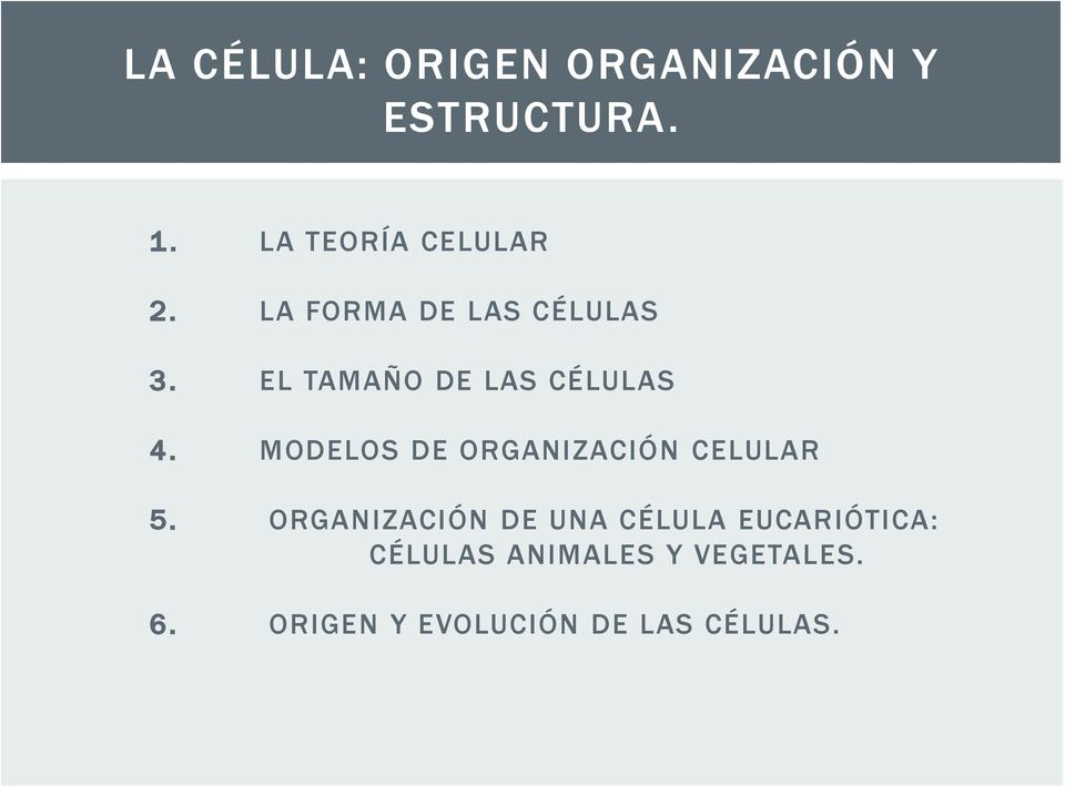 EL TAMAÑO DE LAS CÉLULAS 4. MODELOS DE ORGANIZACIÓN CELULAR 5.