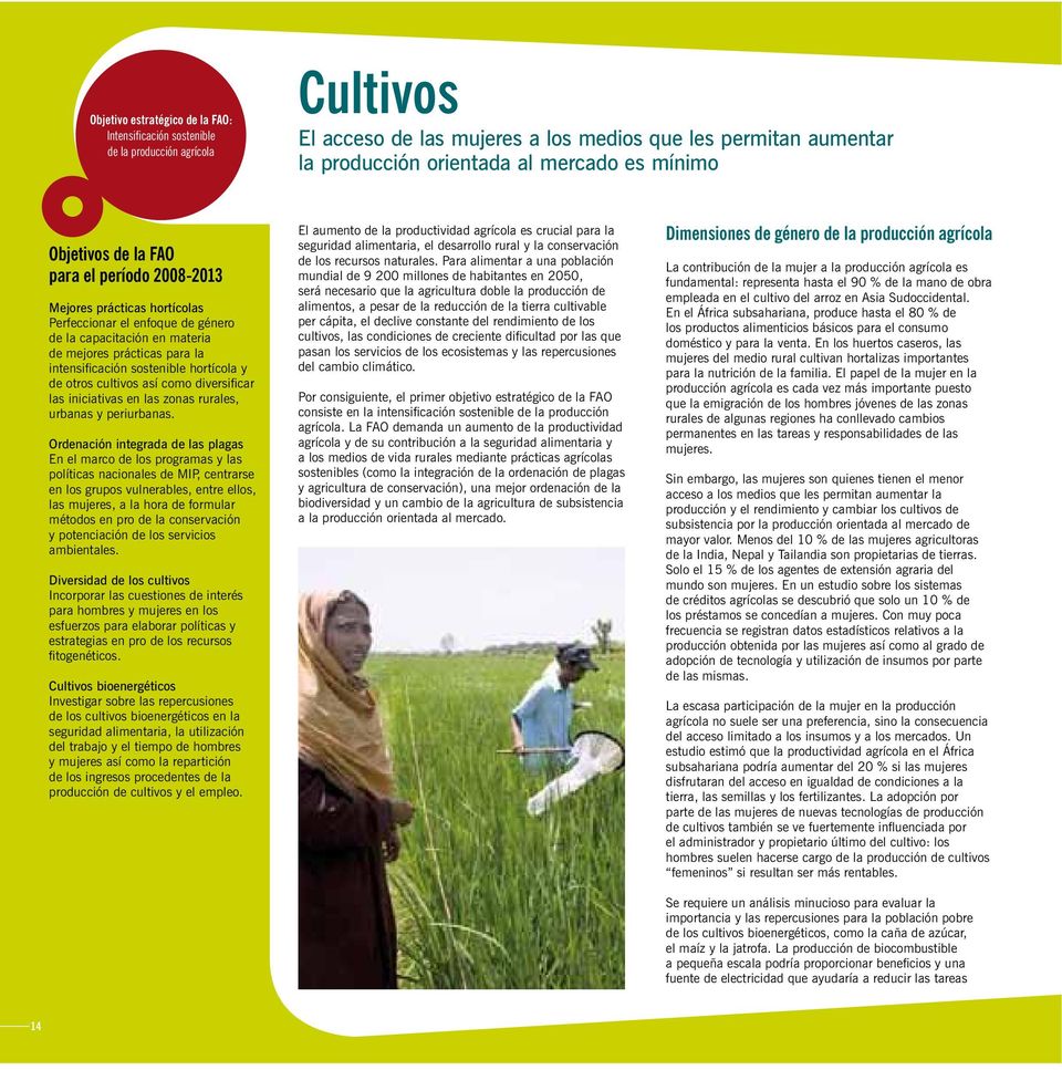 sostenible hortícola y de otros cultivos así como diversificar las iniciativas en las zonas rurales, urbanas y periurbanas.