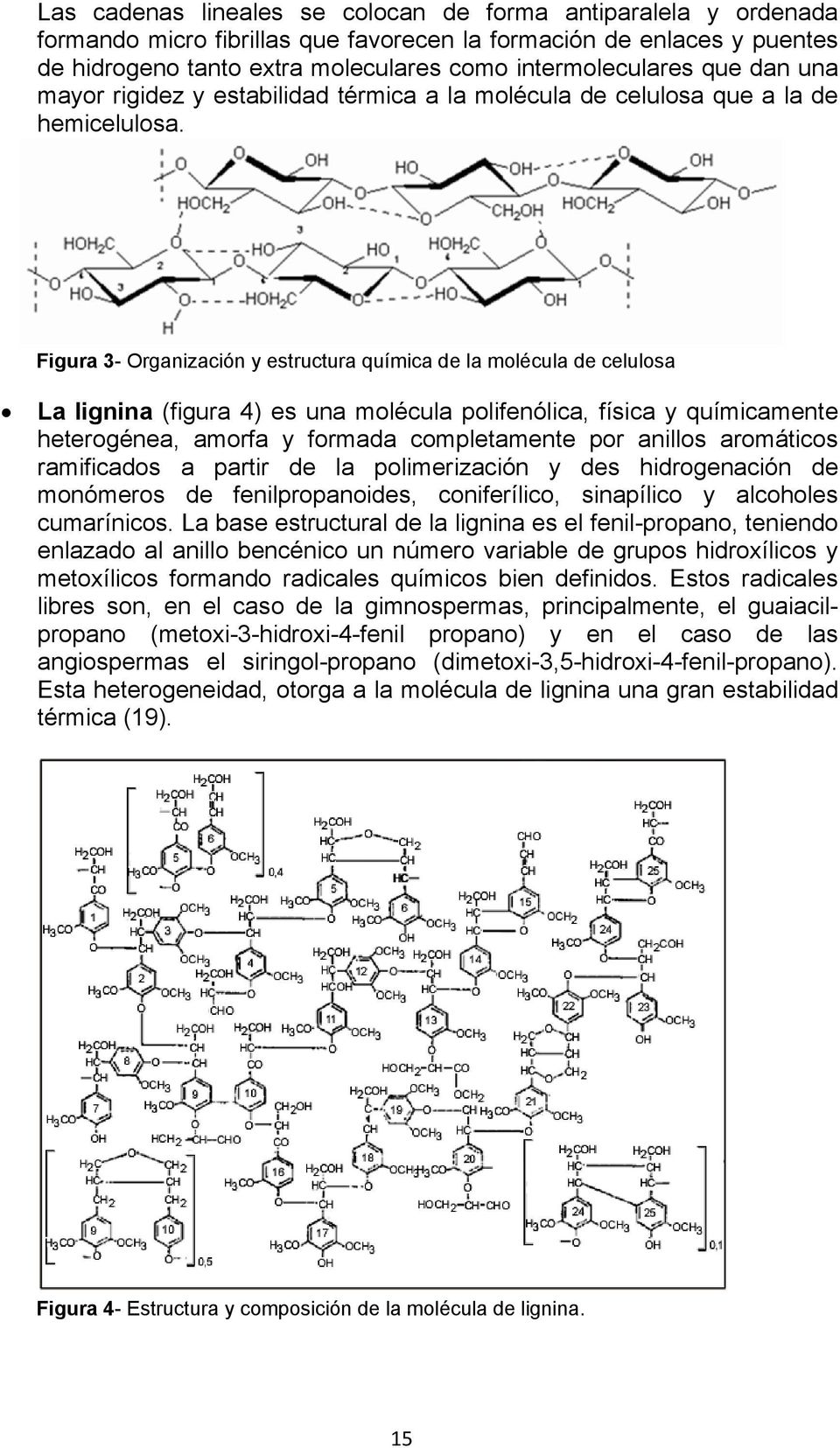 Figura 3- Organización y estructura química de la molécula de celulosa La lignina (figura 4) es una molécula polifenólica, física y químicamente heterogénea, amorfa y formada completamente por