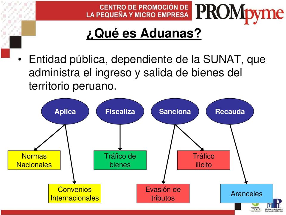 ingreso y salida de bienes del territorio peruano.