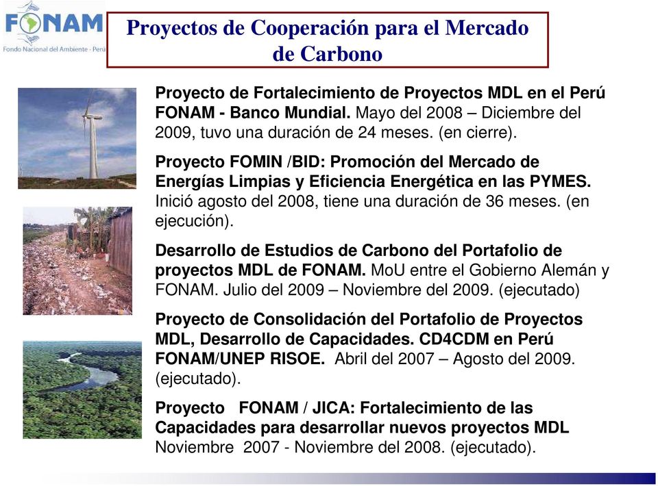 Desarrollo de Estudios de Carbono del Portafolio de proyectos MDL de FONAM. MoU entre el Gobierno Alemán y FONAM. Julio del 2009 Noviembre del 2009.
