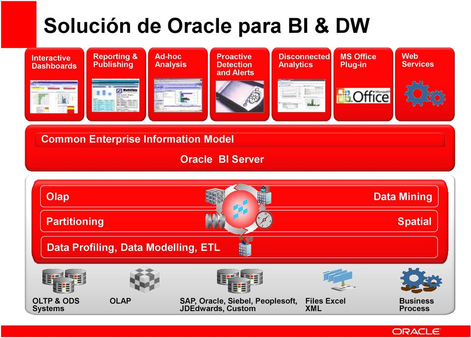 Information Model Oracle BI Server Olap Partitioning Data Mining Spatial Data Profiling, Data