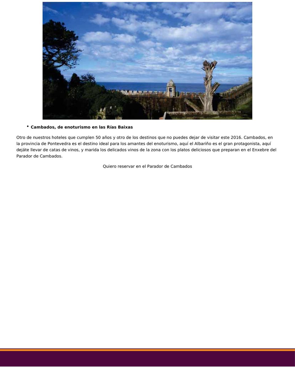 Cambados, en la provincia de Pontevedra es el destino ideal para los amantes del enoturismo, aquí el Albariño es el gran