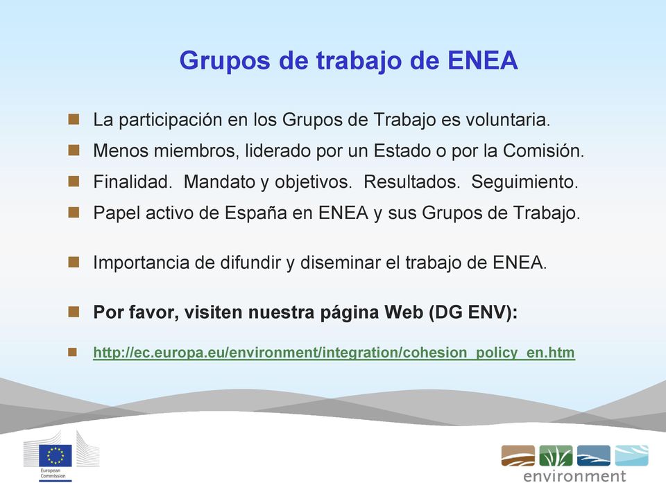 Seguimiento. Papel activo de España en ENEA y sus Grupos de Trabajo.