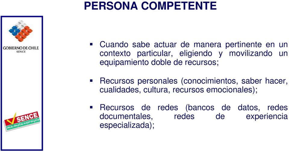personales (conocimientos, saber hacer, cualidades, cultura, recursos