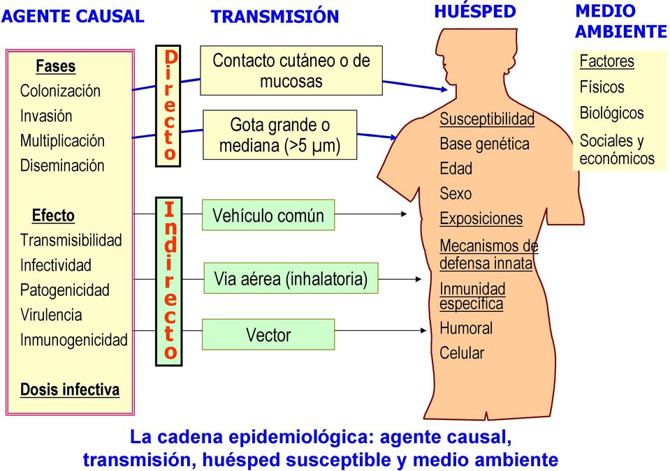 Infectividad Patogenicidad Virulencia Inmunogenicidad I n d i r e c t o Vehículo común Via aérea (inhalatoria) Vector Sexo Exposiciones Mecanismos