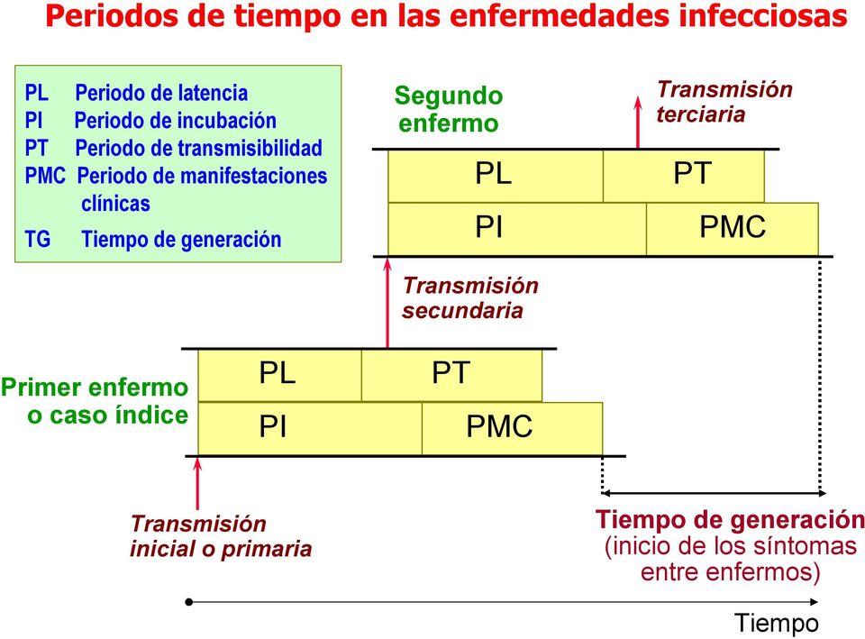 enfermo PL PI Transmisión secundaria Transmisión terciaria PT PMC Primer enfermo o caso índice PL PI