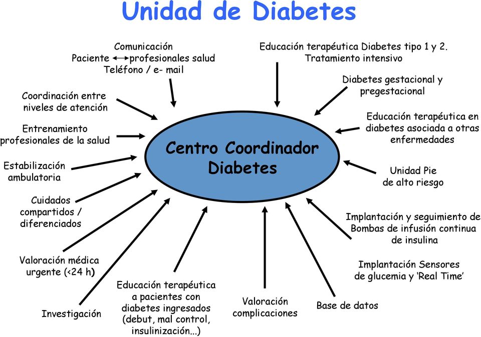 Tratamiento intensivo Diabetes gestacional y pregestacional Educación terapéutica en diabetes asociada a otras enfermedades Unidad Pie de alto riesgo Implantación y seguimiento de Bombas