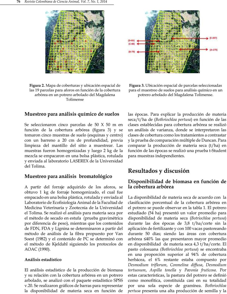 Ubicación espacial de parcelas seleccionadas para el muestreo de suelos para análisis químico en un potrero arbolado del Magdalena Tolimense.