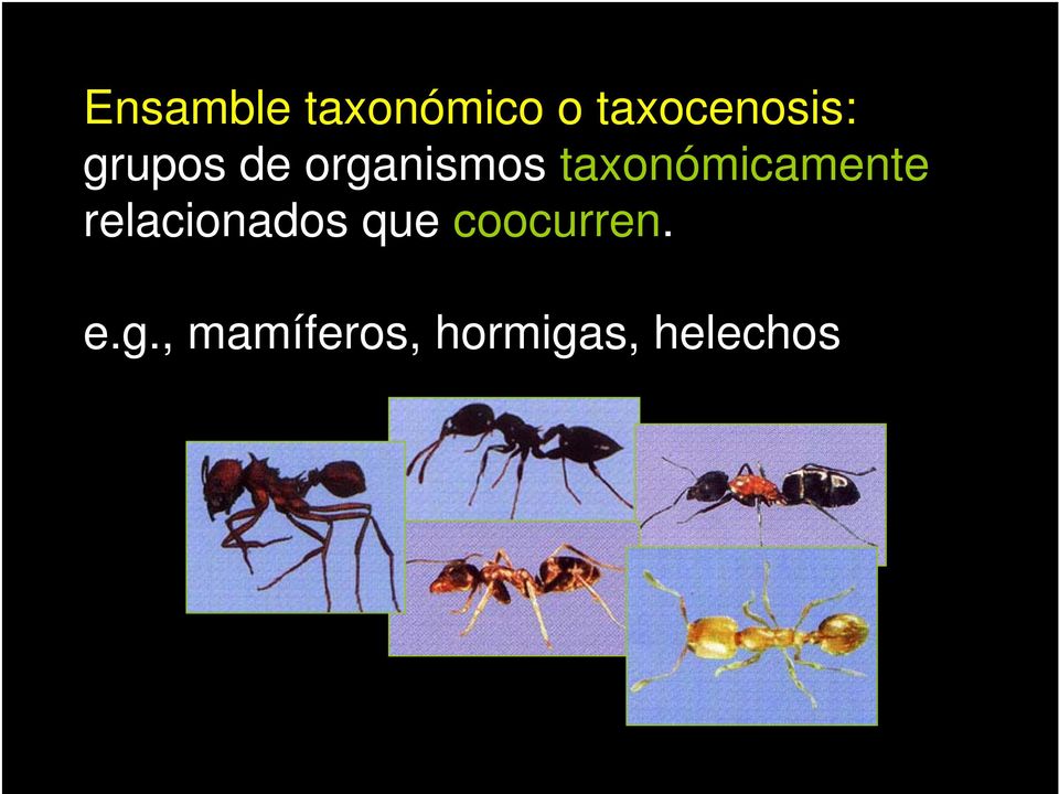 taxonómicamente relacionados que