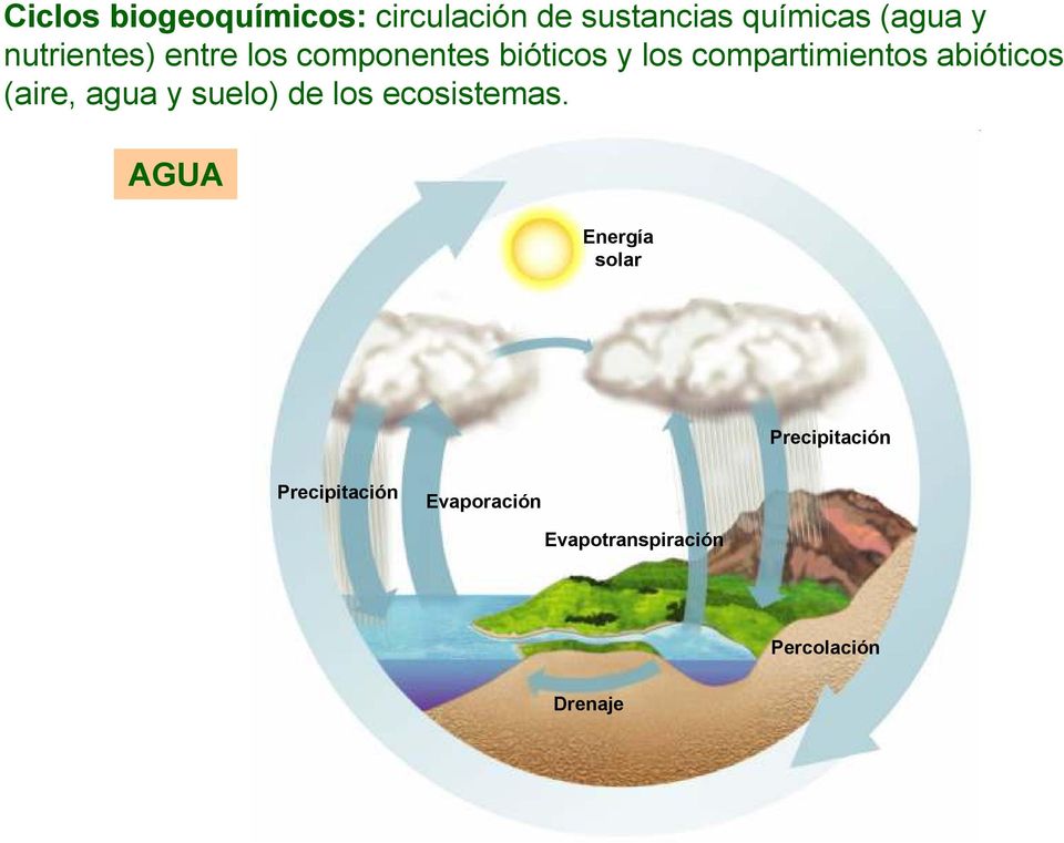 abióticos (aire, agua y suelo) de los ecosistemas.