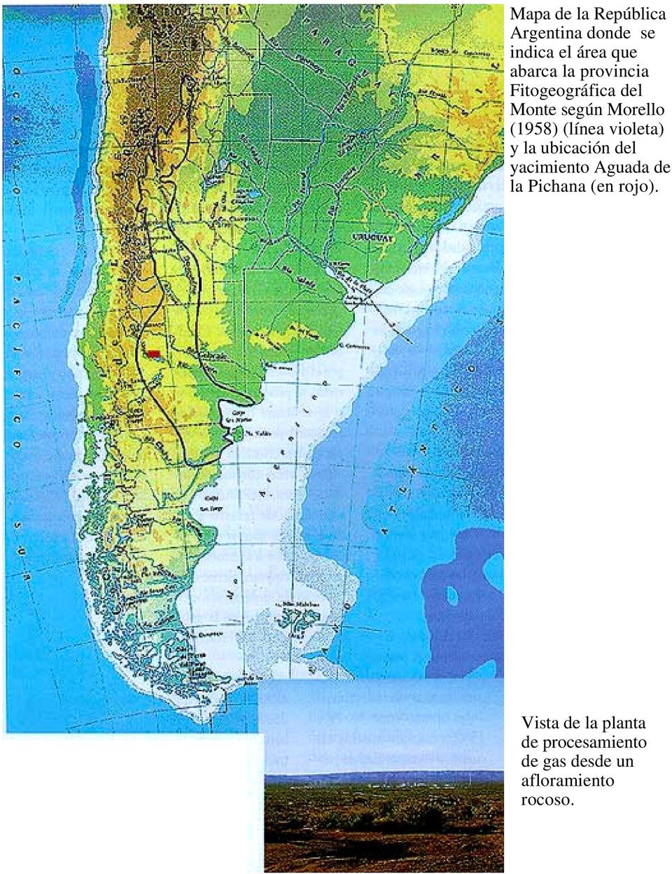 violeta) y la ubicación del yacimiento Aguada de la Pichana (en