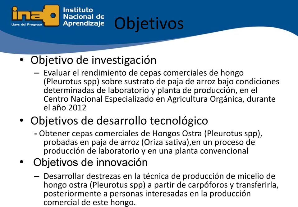 Ostra (Pleurotus spp), probadas en paja de arroz (Oriza sativa),en un proceso de producción de laboratorio y en una planta convencional Objetivos de innovación Desarrollar destrezas