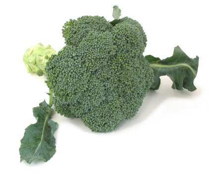 Brócoli Volumen I, Número 9 www.panen.org pa_nen@phmc.org (717) 233-1791 Por qué es bueno el brócoli? Por qué es importante la vitamina C?