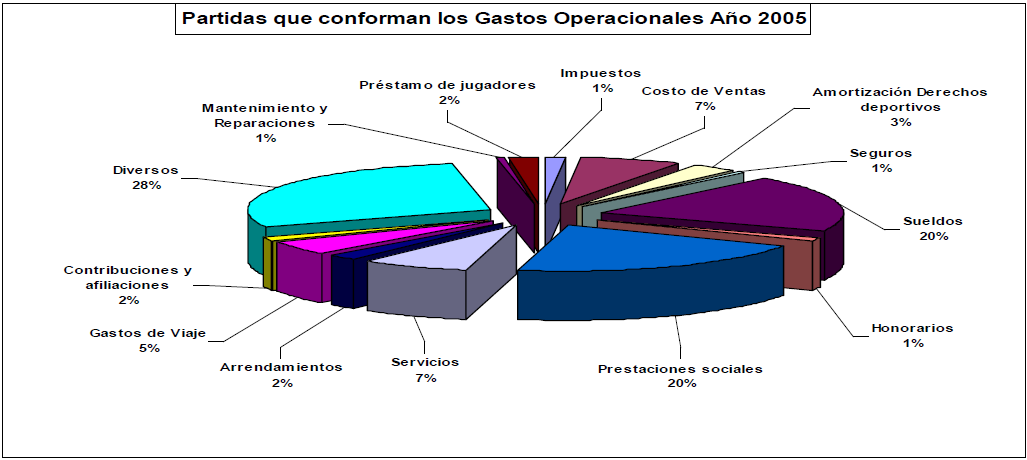 COSTOS Y GASTOS OPERACIONALES 2005