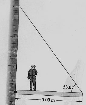 9. Una viga horizontal uniforme de peso 300 N de magnitud y 5 m de longitud está fija a un muro por una unión de perno que permite que la viga gire.