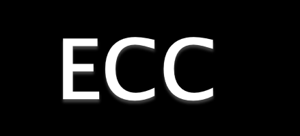 ECC (Error Checking and Correction Detección y corrección de errores).