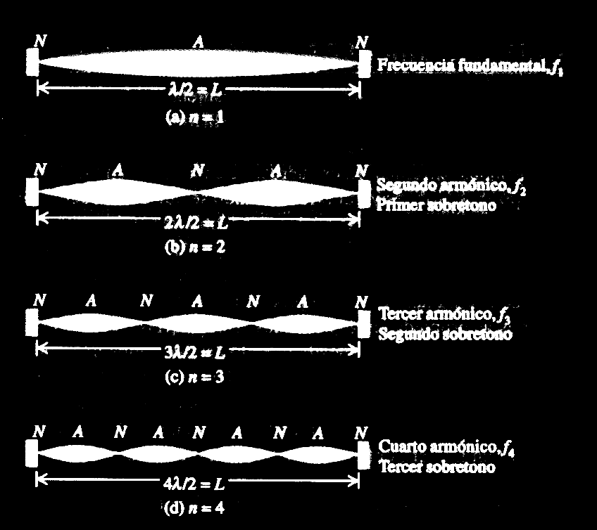 Figura I.12.1: Los primeros cuatro modos normales de una cuerda fija en ambos extremos.